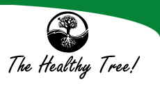 The Healthy Tree